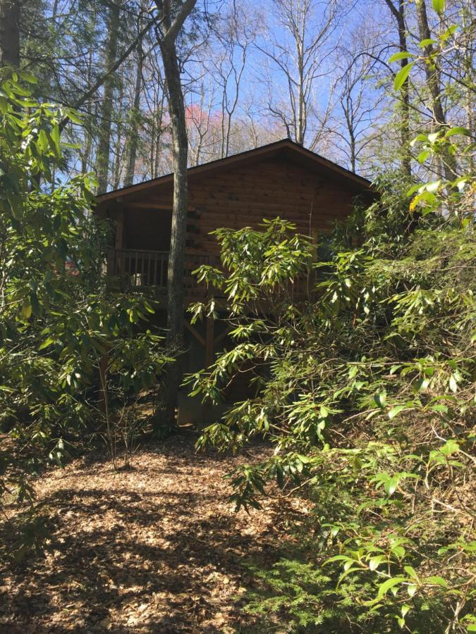 Misty Creek Log Cabins 매기 벨리 외부 사진